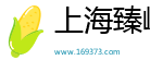上海臻嵊