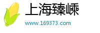 上海臻嵊